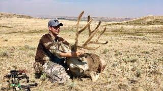 190"+ FULL VELVET MULIE - Archery