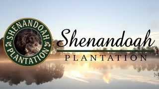 Shenandoah Plantation Commercial Hunting Preserve