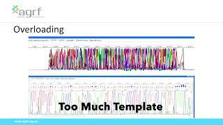 ME Workshop Excerpt: AGRF Sanger Sequencing