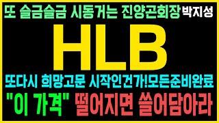 [HLB 에이치엘비 주가] 대응방안 완벽준비 FDA 회의신청 추가 제출!기대감은 없다! 오로지 실력으로 승부! "이 가격" 떨어지면 무조건 담아라#hlb #HLB주가#hlb 제약