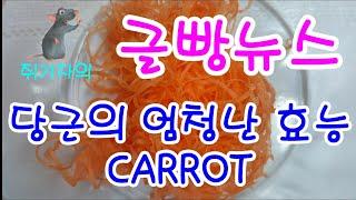 글빵 뉴스 (geulbbang news)당근의 엄청난 효능CARROT