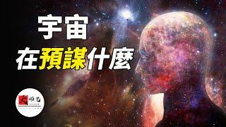 宇宙是有意識的思想體！不是神創造人，而是人將會創造神！|seeker大師兄