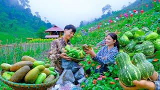 Harvest cucumbers and squash in the garden for sale, grow hydrangeas in the big farm