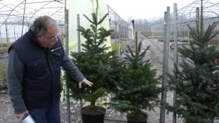 Der Lubera Weihnachtsmarkt