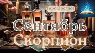 Скорпион. Сентябрь 2024 Таро Прогноз