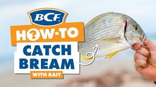 Catch Bream with Bait - BCF How To