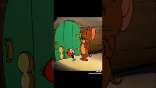 TOM IYO JERRY #funny #comedyfilms #comedymovies #shactaro