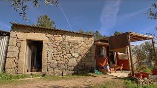 Building a Homestead in a Portuguese Olive Grove.