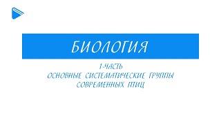 7 класс - Биология - Основные систематические группы современных птиц. Часть 1