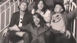 Red Hot Chili Peppers - Around the world - Guitar Backing Track