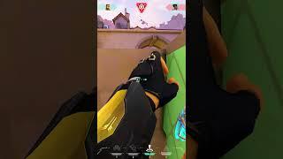 Phoenix Brain Dead️