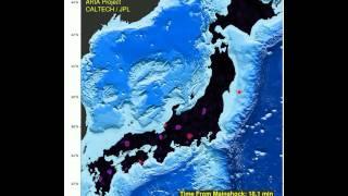 Velocity of land motion caused by the 2011 Tohoku Japan earthquake