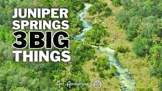 Juniper Springs: 3 big things, free paddle & meet ELVIS (if you dare)! 