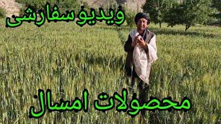 ویدیو سفارشی به در خواست حاجی رضایی و پدر شاه