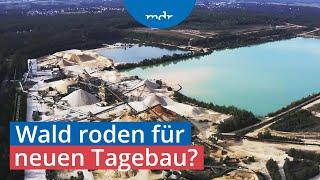 Pläne für Ausbau von Kieswerk in Ottendorf-Okrilla: Anwohner wehren sich | Umschau | MDR