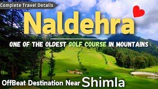 Naldehra Shimla | Places To Visit Near Shimla | Mashobra Shimla | Naldehra Vlog | Shimla #shimla