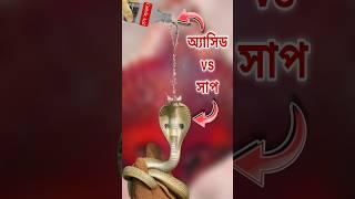 কার্বলিক অ্যাসিডের জাদু দেখুন! সাপ পালাবে বাড়ি থেকে! Carbolic Acid vs Snake #facts #venom