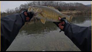 24 big smallmouth landed on the Shenandoah in one day!