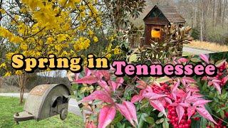 Spring in Tennessee / Sevierville TN / Smoky Mountains Sunset