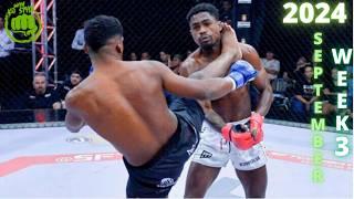 September 2024 Week 3: EPIC MMA and Boxing Knockouts!