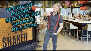 Pourquoi Pas? - Serveur au Shaker de Laval