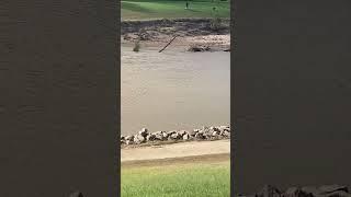 Maitland river after floods 2025 NSW