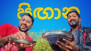 පිඟාන | Pigaana | Mangus Tube