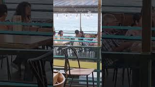 임이랑해물삼합 기장임랑맛집