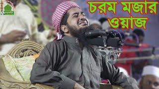 চরম মজার ওয়াজ { শুদু শুনতেই মন চায় }eliasur rahman zihadi waz