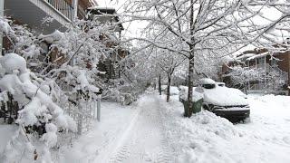 Montreal Winter Walk in the Snow in Villeray | Canada Walking Video 2021