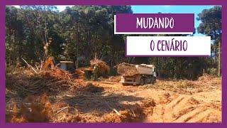 Mudando o cenário