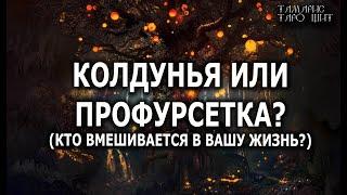 Колдунья или профурсетка ? Кто вмешивается в вашу жизнь ? ГАДАНИЕ ОНЛАЙН  РАСКЛАД ТАРО