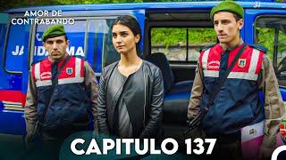 Amor De Contrabando Capitulo 137 (Doblada En Español)