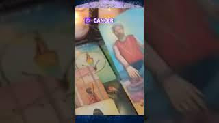 ️ CANCER #capricornmoontarot #tarot #cancer #may2025 #shorts #shortvideo