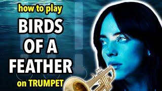 How to play Birds of a Feather on Trumpet | Brassified