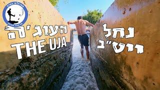 העוג׳ה - נחל ייט״ב - מטיילים בארץ