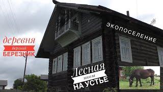 Лесная школа на Устье ( д. Верхний Березник Устьянский район )