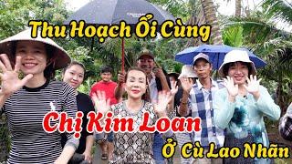 Chị Kim Loan Quyết Tâm Dầm Mưa Cắt Được Hơn 200kg Ổi Lúc Nào Không Hay #144