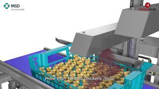 SPRAYCOX III