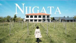 Exploring Niigata city & Staying in a Winery