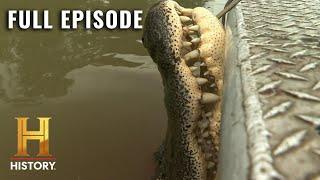 Swamp People: Tag Teaming Devious Gators (S12, E15) | Full Episode