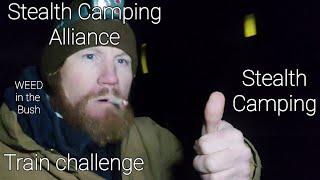 STEALTH CAMPING ALLIANCE railroad challenge. #stealthcampingalliance #railroad #weedinthebush