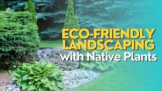 Eco-Friendly Landscaping with Native Plants