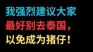 【中文字幕】我强烈建议大家最好别去泰国，以免成为猪仔！