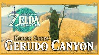 Gerudo Canyon Korok Seeds • Zelda Tears of the Kingdom TOTK