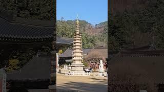 오대산 월정사 팔각구층석탑 ㅣ2024.11.04(월)