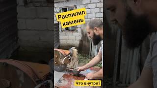 Внутри камня оказался.. #камнемания #минералы #самоцветы #окаменелости #аммонит #золото #серебро