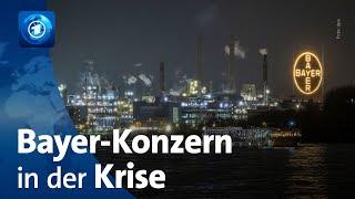 Jahresbilanz: Bayer-Konzern mit Milliardenverlust