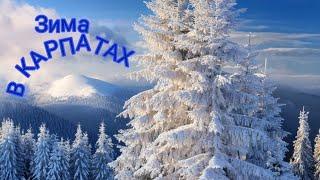 "Winter Wonderland: Enchanting Carpathians"