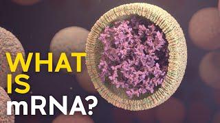 What is mRNA, and how does it work?